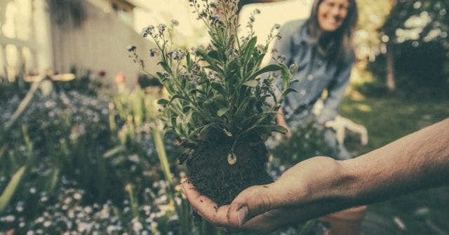 people working on an eco-friendly landscaping project