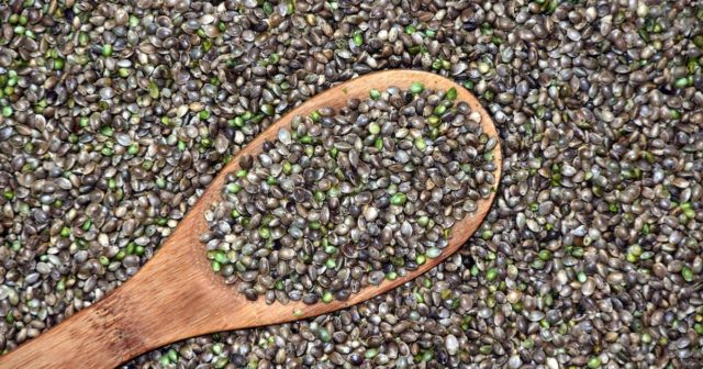 hemp seeds as part of a hemp farm that needs insurance