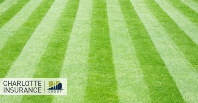 a lush lawn maintained by following these budget lawn care tips