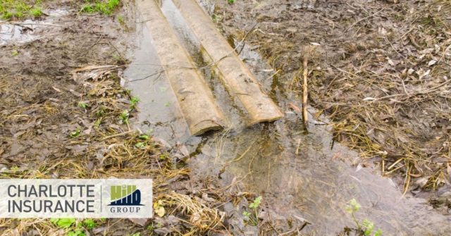 damaged sewer line covered by a sewer line backup insurance policy