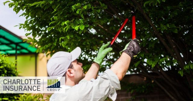 Can You Trim Your Neighbor’s Trees - man trimming tree